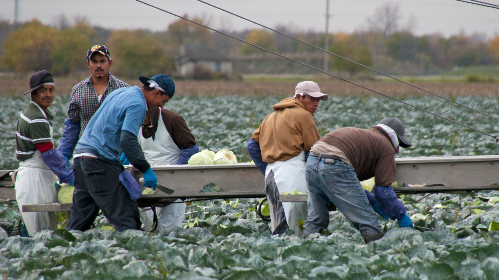 los-trabajadores-extranjeros-deben-conocer-sus-derechos-laborales-en